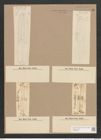 Navicula nobilis var. dactylus V.H. (de-Toni-Nr.: Genus 1, Species 1) Zeichnungen Sammlung Grunow Nr. 11 (NHMW-BOT-W0366192)